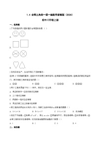 初中数学浙教版（2024）八年级上册（2024）1.4 全等三角形同步测试题