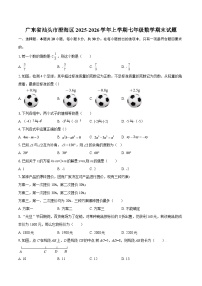 广东省汕头市澄海区2025-2026学年上学期七年级数学期末试题-自定义类型