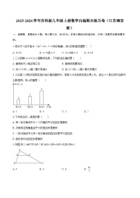 2025-2026学年苏科版九年级上册数学自编期末练习卷（江苏南京版）-自定义类型