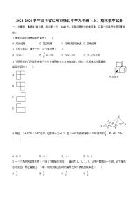 2025-2026学年四川省达州市渠县中学九年级（上）期末数学试卷-自定义类型