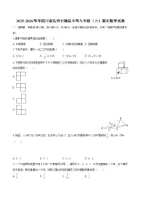 2025-2026学年四川省达州市渠县中学九年级（上）期末数学试卷-自定义类型