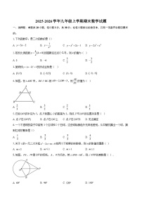2025-2026学年九年级上学期期末数学试题-自定义类型