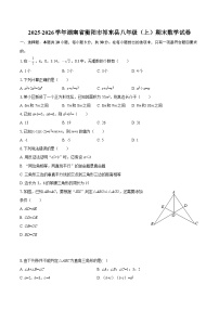 2025-2026学年湖南省衡阳市祁东县八年级（上）期末数学试卷-自定义类型