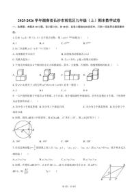 2025-2026学年湖南省长沙市雨花区九年级（上）期末数学试卷