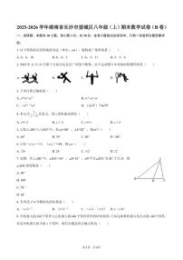 2025-2026学年湖南省长沙市望城区八年级（上）期末数学（B卷）试卷