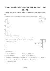 2025-2026学年黑龙江省大兴安岭地区松岭区两校联考七年级（上）期末数学试卷