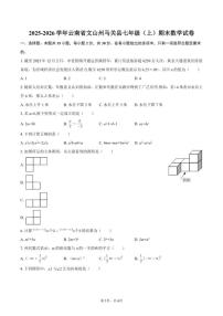 2025-2026学年云南省文山州马关县七年级（上）期末数学试卷