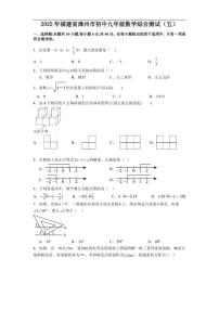 2025年福建省漳州市初中九年级数学中考模拟综合测试（五）_(含答案_)
