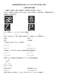 2025-2026学年云南省昆明市东川区九年级上学期1月期末数学试卷（学生版）