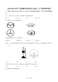 2025-2026学年广东省肇庆市封开县九年级（上）期末数学试卷