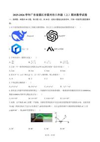 2025-2026学年广东省湛江市雷州市八年级（上）期末数学试卷
