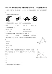 2025-2026学年湖北省武汉市东湖高新区八年级（上）期末数学试卷（含答案+解析）