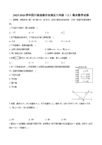 2025-2026学年四川省成都市双流区八年级（上）期末数学试卷（含答案+解析）