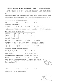 2025-2026学年广东省茂名市茂南区八年级（上）期末数学试卷（含答案+解析）