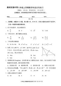 福建省泉州市东海中学2025-2026学年八年级上学期数学科适应性练习（月考）