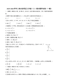 2025-2026学年上海市崇明区九年级（上）期末数学试卷（一模）-普通用卷