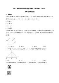 数学七年级上册（2024）轴对称课后练习题