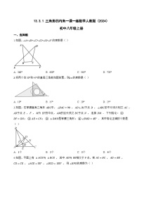 初中数学人教版（2024）八年级上册（2024）13.3.1 三角形的内角习题