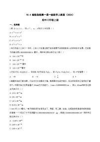 初中数学人教版（2024）八年级上册（2024）18.4 整数指数幂课时训练