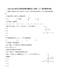 2025-2026学年山东省济南市槐荫区八年级（上）期末数学试卷-自定义类型
