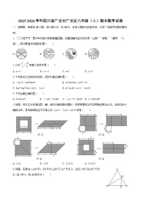 2025-2026学年四川省广安市广安区八年级（上）期末数学试卷-自定义类型