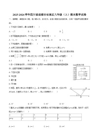 2025-2026学年四川省成都市双流区八年级（上）期末数学试卷-自定义类型