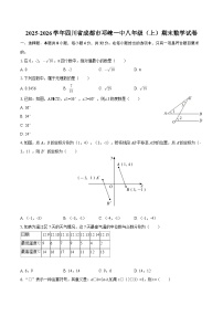2025-2026学年四川省成都市邛崃一中八年级（上）期末数学试卷-自定义类型