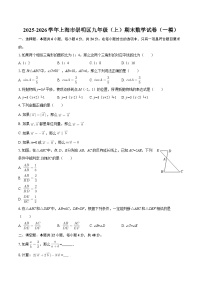 2025-2026学年上海市崇明区九年级（上）期末数学试卷（一模）-自定义类型