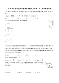 2025-2026学年陕西省渭南市高新区九年级（上）期末数学试卷-自定义类型