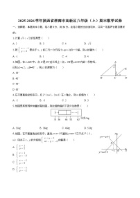 2025-2026学年陕西省渭南市高新区八年级（上）期末数学试卷-自定义类型