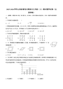 2025-2026学年山东省青岛市莱西市九年级（上）期末数学试卷（五四学制）-自定义类型