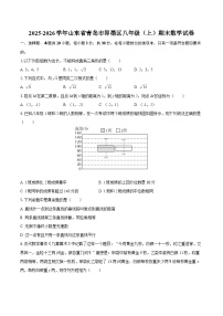 2025-2026学年山东省青岛市即墨区八年级（上）期末数学试卷-自定义类型
