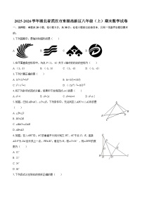 2025-2026学年湖北省武汉市东湖高新区八年级（上）期末数学试卷-自定义类型