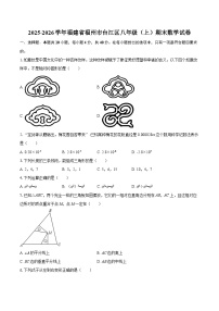 2025-2026学年福建省福州市台江区八年级（上）期末数学试卷-自定义类型