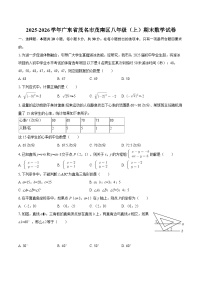 2025-2026学年广东省茂名市茂南区八年级（上）期末数学试卷-自定义类型