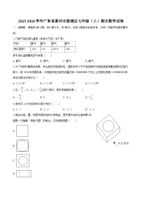 2025-2026学年广东省惠州市惠城区七年级（上）期末数学试卷-自定义类型