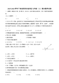 2025-2026学年广东省深圳市盐田区七年级（上）期末数学试卷-自定义类型