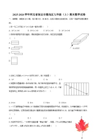 2025-2026学年河北省保定市莲池区九年级（上）期末数学试卷-自定义类型