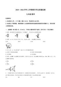 河南省济源市2025～2026学年九年级上数学期末试卷(含答案)