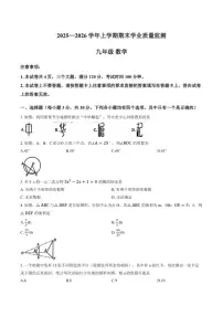 河南省济源市2025～2026学年九年级上数学期末试卷(含答案)