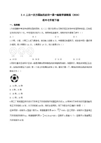 浙教版（2024）七年级下册（2024）二元一次方程组的应用达标测试