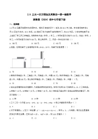 初中数学浙教版（2024）七年级下册（2024）三元一次方程组及其解法同步达标检测题