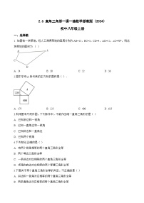 数学八年级上册（2024）2.6 直角三角形同步测试题
