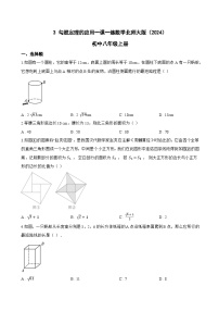 初中北师大版（2024）第一章 勾股定理3 勾股定理的应用复习练习题