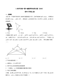 华东师大版（2024）八年级上册（2024）3. 角平分线同步训练题