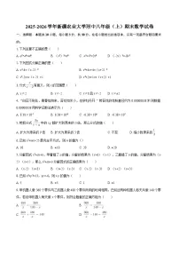 2025-2026学年新疆农业大学附中八年级（上）期末数学试卷-自定义类型