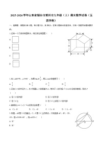 2025-2026学年山东省烟台市莱州市九年级（上）期末数学试卷（五四学制）-自定义类型