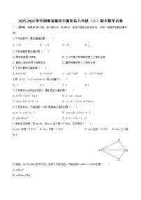 2025-2026学年湖南省衡阳市衡阳县八年级（上）期末数学试卷-自定义类型