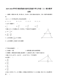 2025-2026学年甘肃省武威市凉州区校尉中学九年级（上）期末数学试卷-自定义类型