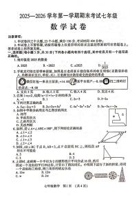河南洛阳市嵩县2025-2026学年第一学期期末考试七年级数学